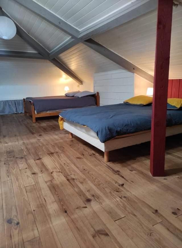 Maison Landaise Chaleureuse Rion-Des-Landes ภายนอก รูปภาพ